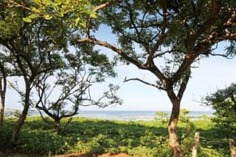 Beachfront Lots Playa Avellanas Guanacaste