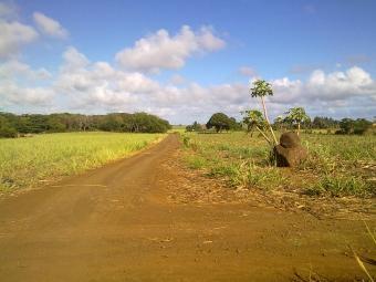 Terrain a vendre 1 Arpent Rivi�re Du Rempart