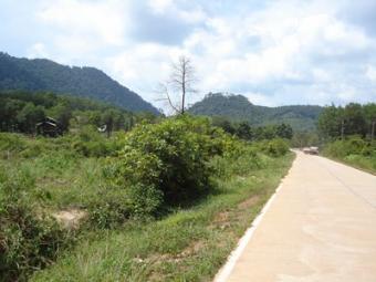 Flat Roadside Land Plot Ko Lanta Yai