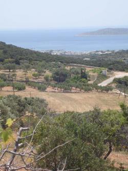 A20 SCOPASREALESTATE Paros