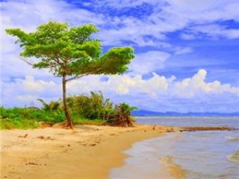 Ocean Front Property Srey Ambel