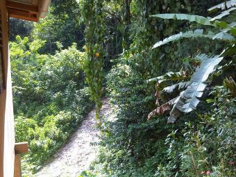 Cottage on North Coast Blanchisseuse