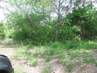 Lot in Chame Chame