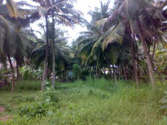 land at kowdiar Thiruvananthapuram