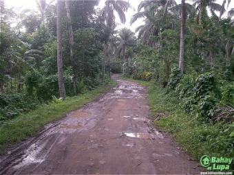 Batangas Lot for SALE Batangas