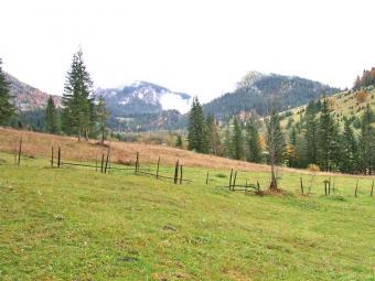 Land for sale near Lacu Rosu Bicajel