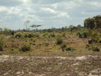 land fo sale Dar Es Salaam