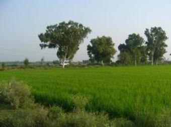 2 acre land Gujranwala