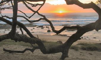 Stunning home / guest house Durban