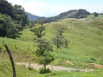 Zapotal, Miramar, Costa Rica. Miramar