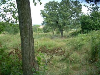 PLOT WHIT OLD HOUSE Rudnik
