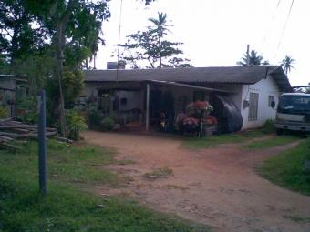 LAND FOR SALE (WITH TWO HOUSE) Seeduwa
