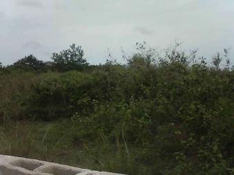 Plots Of Land For Sale Gidan Ajah
