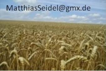4.16 HA close to Timisoara Timisoara