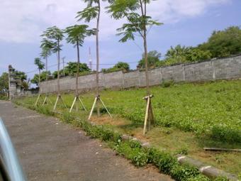 Bali Properti Investment Bali