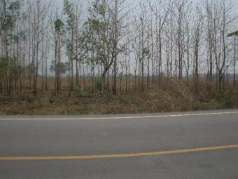 Land near MaeKhong River Bridge Chiangkhong, Chiangrai