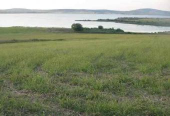 Top land in Burgas Burgas