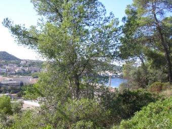 plot in santa ponsa Palma De Mallorca
