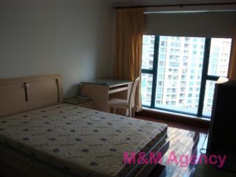 Brand new 1br in zhongshan park! Shanghai