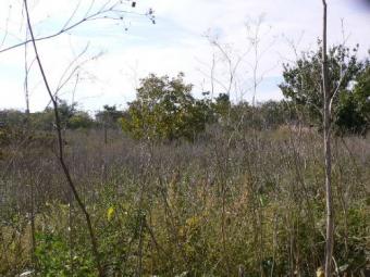 BUILDING PLOT OF A LAND Kavarna