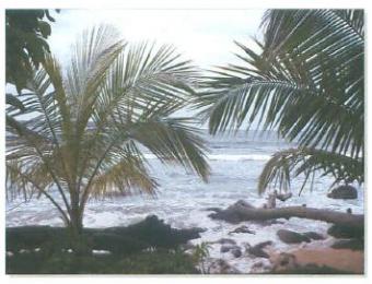 Outstanding Parcel in Paradise Bocas Del Toro
