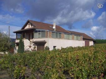 Beautiful house in France Near M�con