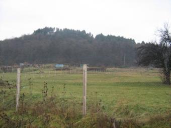 INVESTMENT OPORTUNITY Berkovitsa