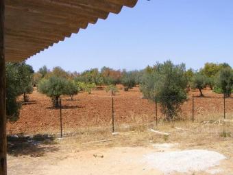 Nice Plot in the Algarve Loul�