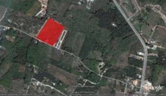 Land For Sale:Krabi:23Rai: Krabi