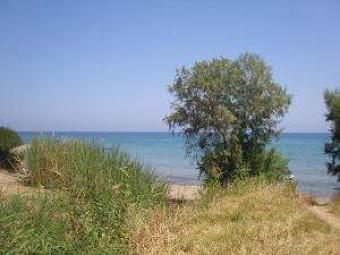 PLOT IN ZANTE-GREECE Zakynthos