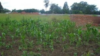 plot for sale Harare, Westgate
