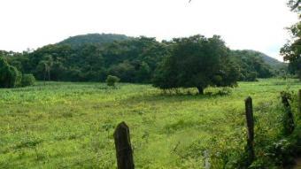 Highly Fertile Farmland Brazil Colinas
