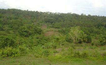 Beautiful 2ha Agri Lot Lemery