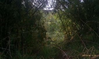 Chatam Quarry - Sand and Gravel Chatam