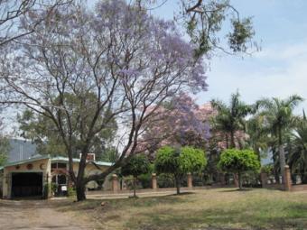 retirement home Jocotepec