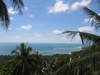 LAND FOR SALE Ko Samui
