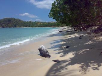 Beachfront Lot in San Vicente San Vicente
