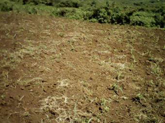 KONYA 0.2HA KISUMU Kisumu