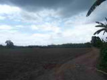 GOOD LAND ESTAE Batangas