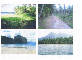 tittled palawan beach lot Palawan