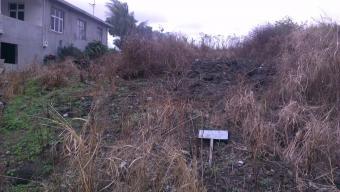 Terrain � vendre � Flacq Centre De Flacq