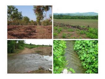 Land for sale in Lampang Bangkok