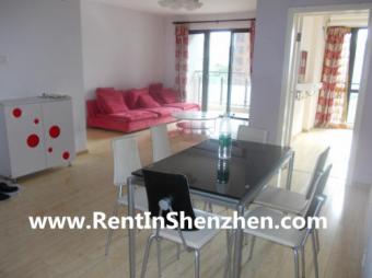 Shenzhen apartments,clean new bu Shenzhen