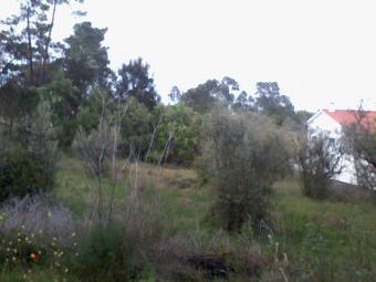 plot of land 1044m2 Pombal
