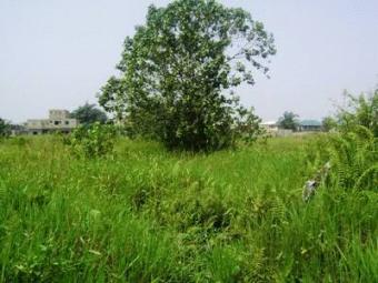 A plot of Land in Green Field Lagos