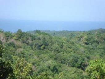 1 acre in Upton St-Ann St Ann`s Bay