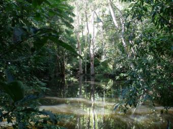 INVESTMENT RESORT CAIRNS 29 Unit Cairns