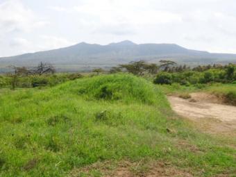 prime land for sale 150 acres Mai Mahiu