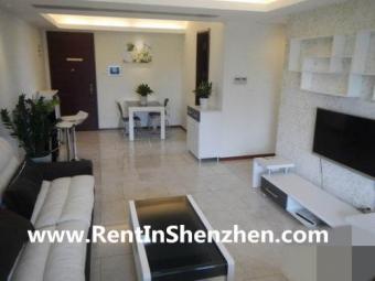 2011 New building in SheKou Sea- Shenzhen