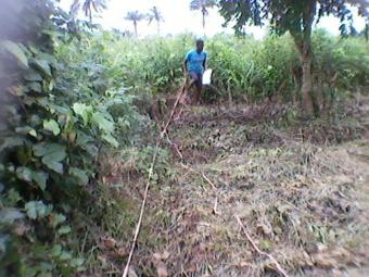 10 ACRES OF LAND FOR SALE Ogun